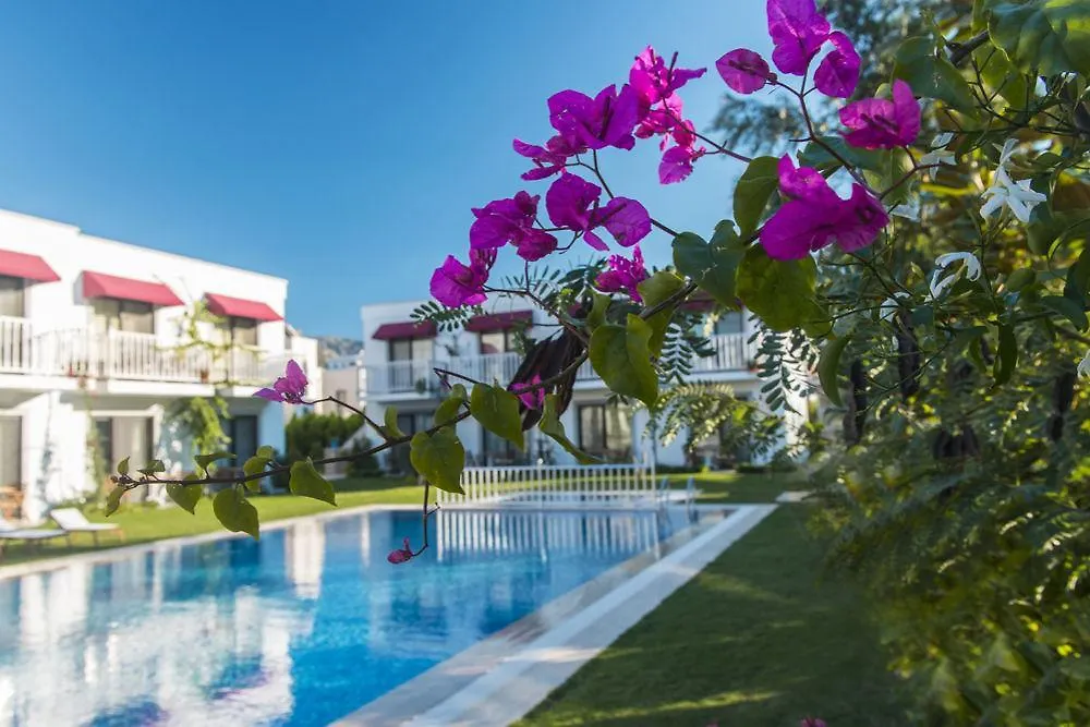 **  Villa Rustica Hotel Gundogan  Turquia
